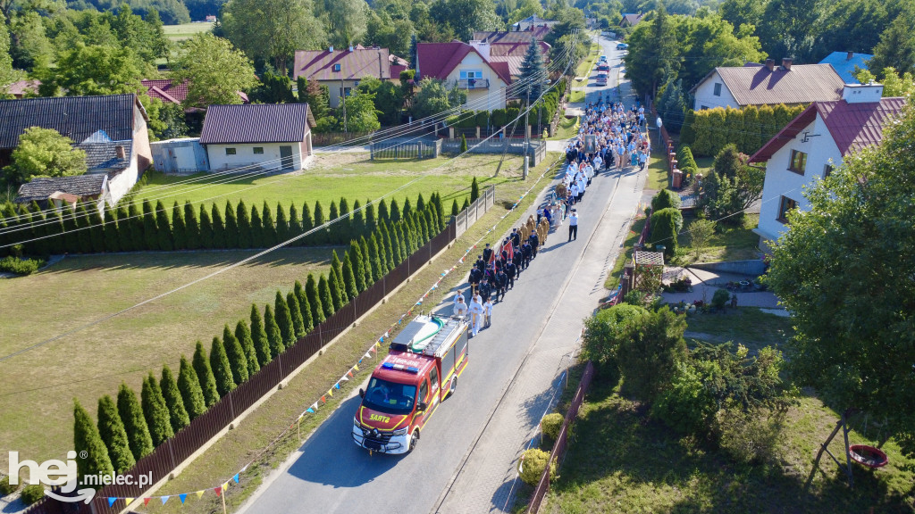 Borki Nizińskie na trasie peregrynacji obrazu Jezusa Miłosiernego