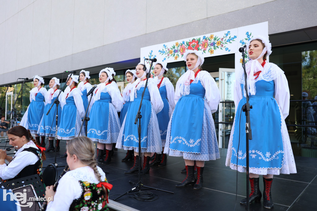 Koncert 