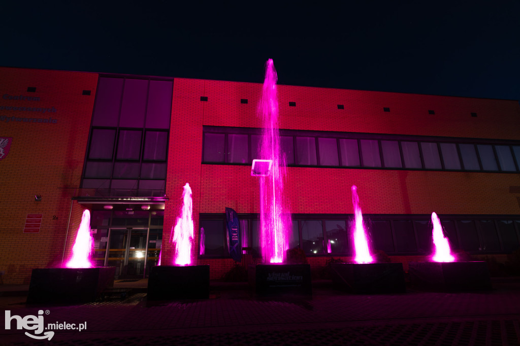 Widowisko laserowe  w Branżowym Centrum Umiejętności