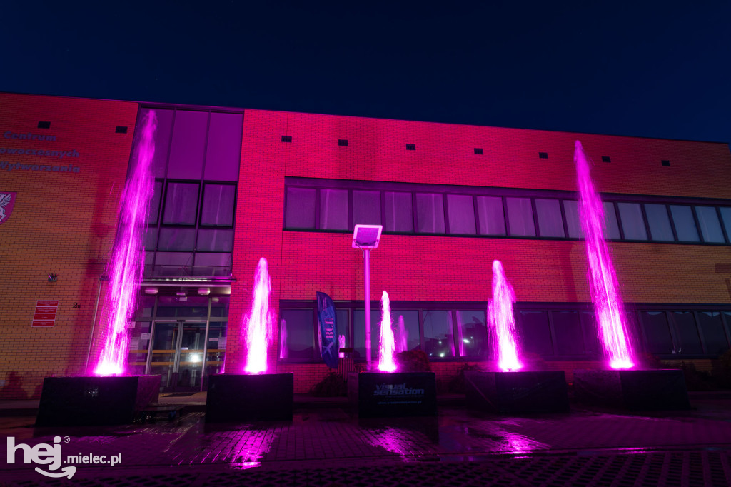 Widowisko laserowe  w Branżowym Centrum Umiejętności