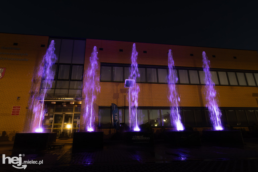 Widowisko laserowe  w Branżowym Centrum Umiejętności