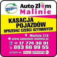Logo firmy Auto Części handel i usługi Piotr Górski