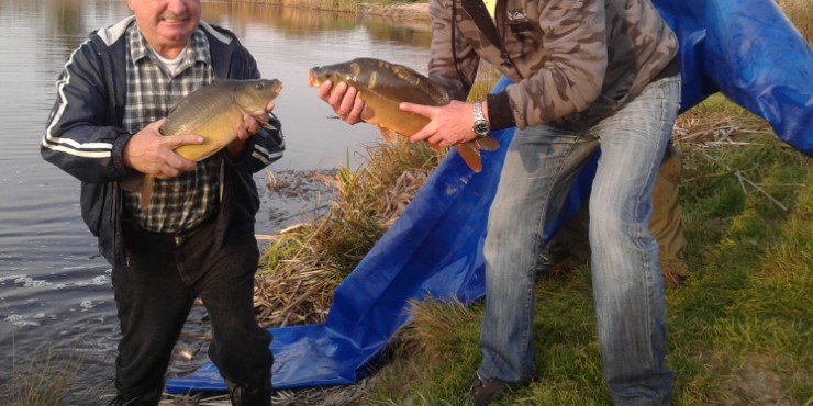Jesienne zarybianie stawów w Otałęży i Rzemieniu [FOTO]