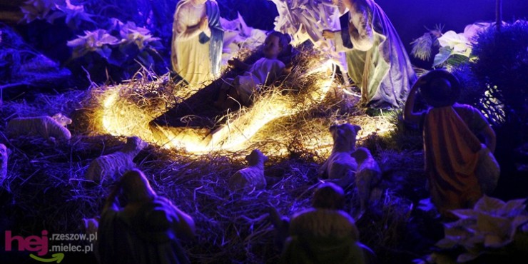 Piękne szopki największych mieleckich parafii. Zobacz jak wyglądają [ZDJĘCIA]