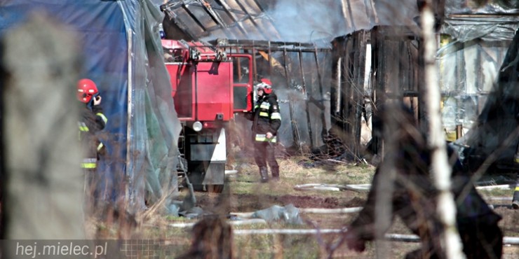 Pożar kontenerów mieszkalnych składowanych przy lotnisku [AKTUALIZACJA, FOTO]