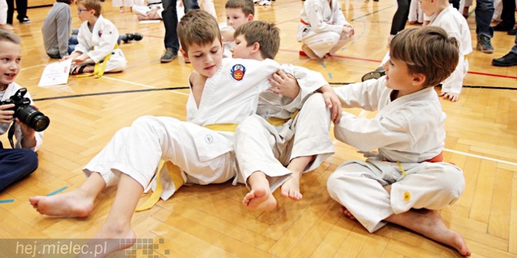 Udany V Ogólnopolski Turniej Karate Shorin Ryu. Setki młodych uczestników [WYNIKI]