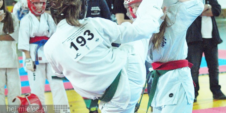 Międzynarodowa obsada mistrzostw karate full-contact [FOTO]