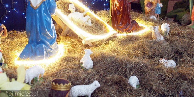 Tradycyjne szopki w mieleckich kościołach. Zobacz jak wyglądają! [ZDJĘCIA]