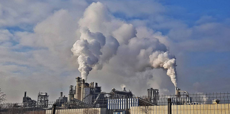 Marszałek chce ponad milion złotych od Krono! Ujawnili to ekolodzy