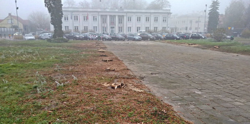 Wycinka drzew w parku przy ul. Sękowskiego. Zdjęcie dzięki uprzejmości Czytelnika
