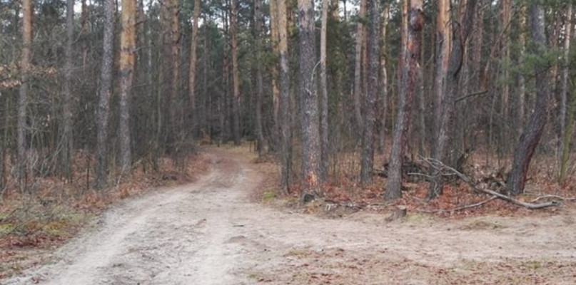 Miejsce tragicznego wypadku z udziałem quada. Fot. KWP