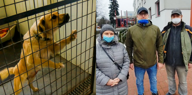 Fundacja Animals przejmie miejskie schronisko dla zwierząt?