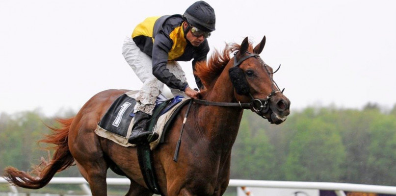 Wyścigi konne - historia, zasady, ciekawostki