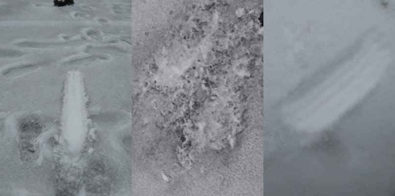 Czytelniczka: czarny śnieg w Padwi Narodowej! Co się stało?