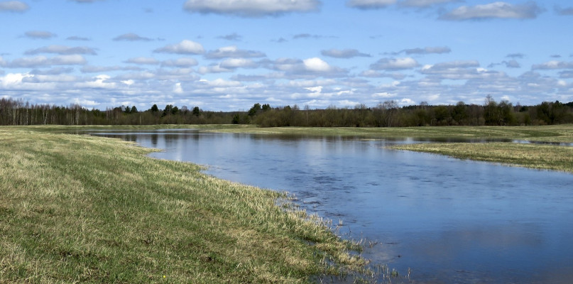 Wysiedlenia i wyburzenie domów? W gminie może powstać polder przeciwpowodziowy
