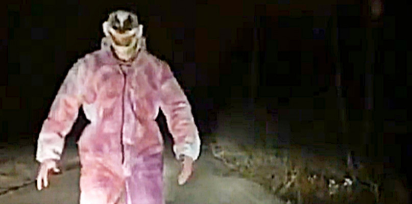 Przerażający klaun z Mielca. Policja sprawdza [WIDEO]