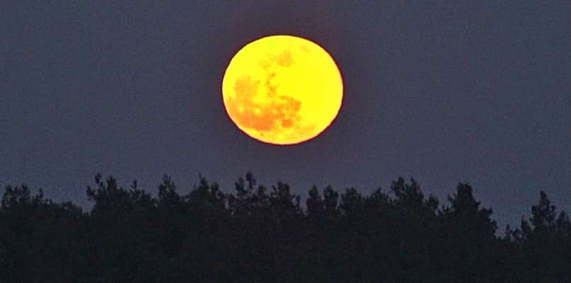 Robaczy Księżyc nad Mielcem [WIDEO]