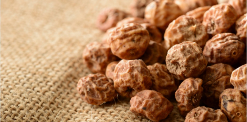 Orzech tygrysi - idealny na karpia