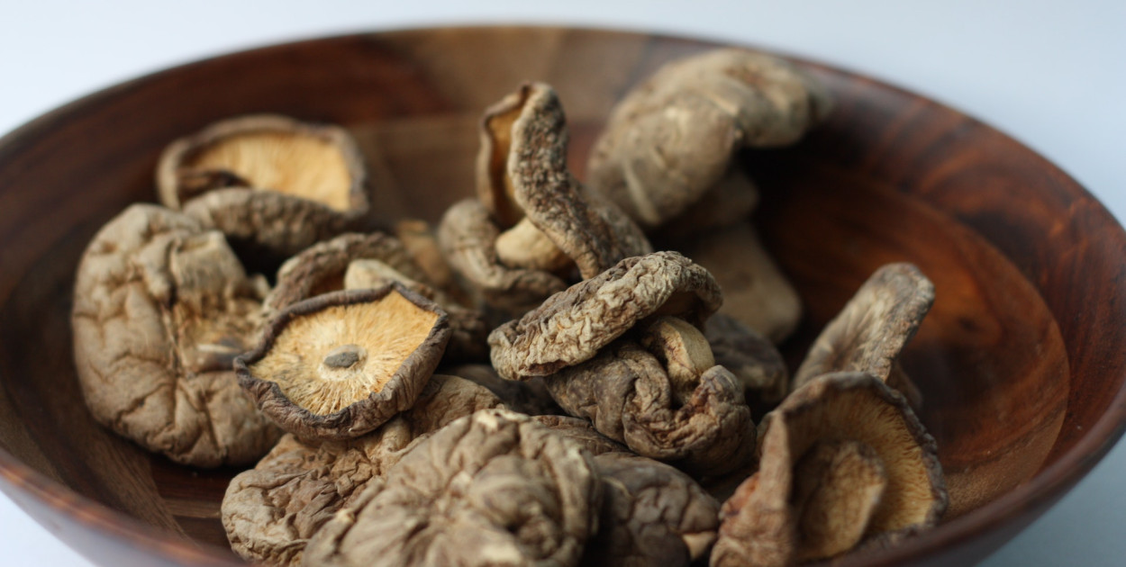 Jakie właściwości ma proszek z grzybów?