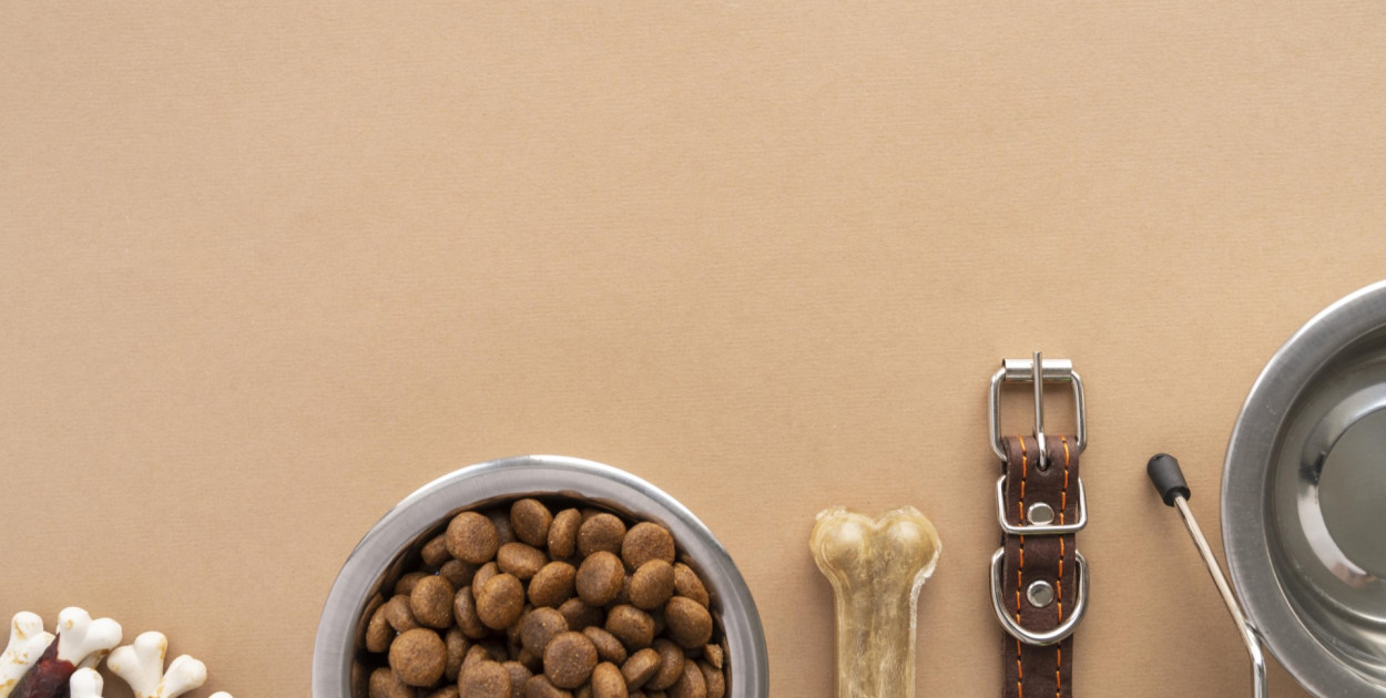 Internetowy sklep zoologiczny: kluczowe kryteria wyboru dla opiekunów zwierząt