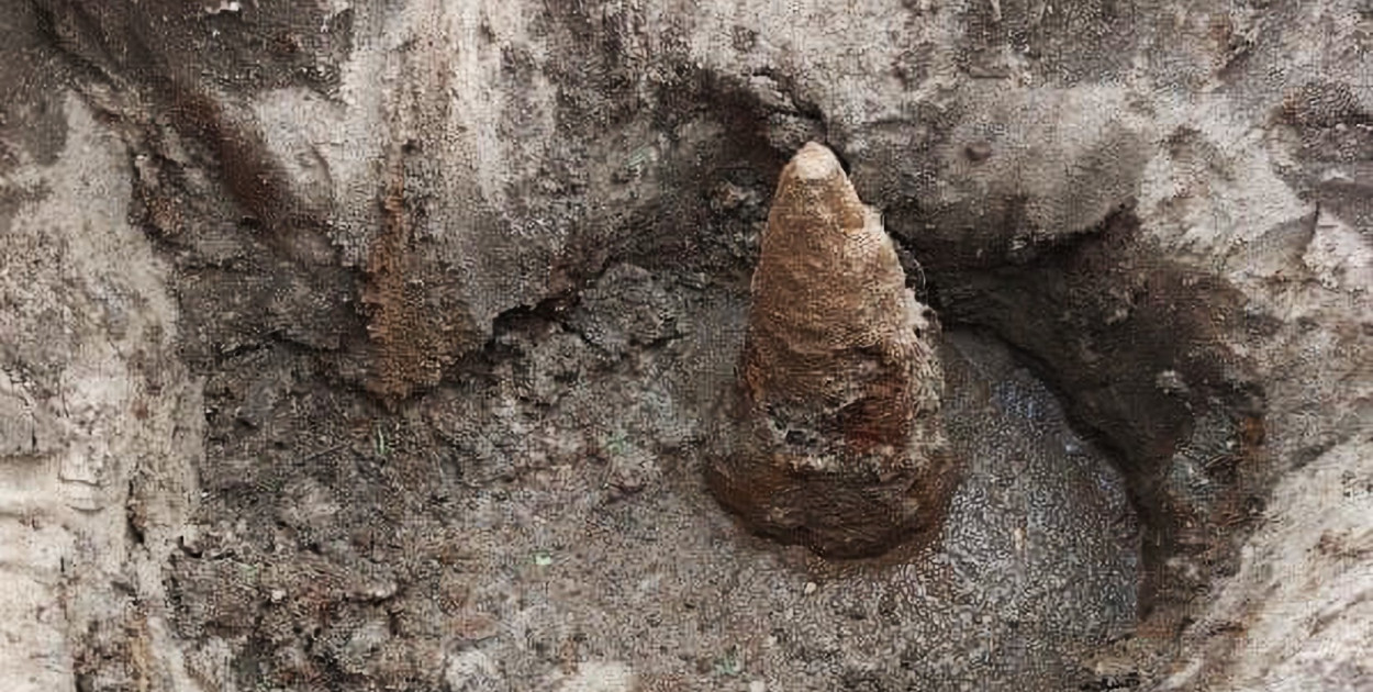 Granat moździerzowy znaleziony w polu. Saperzy usunęli zagrożenie