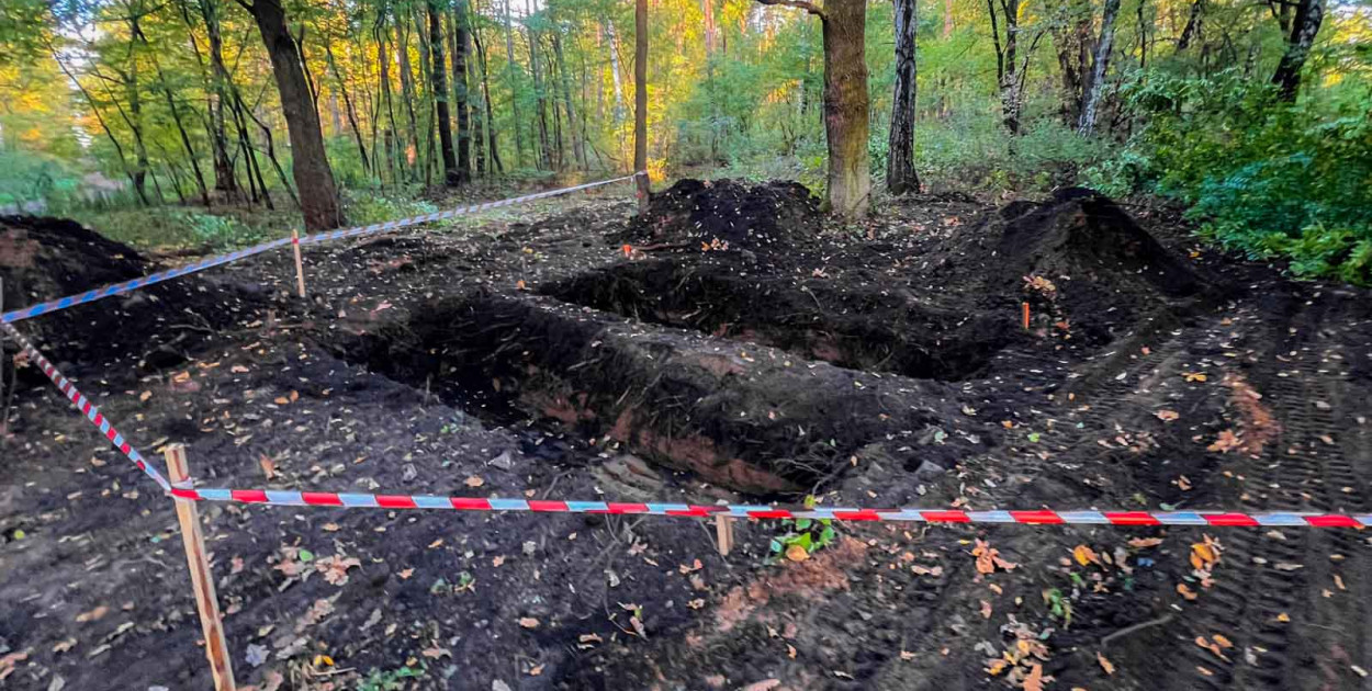 Wykopy przy popularnej leśnej drodze. Wiemy, co budują