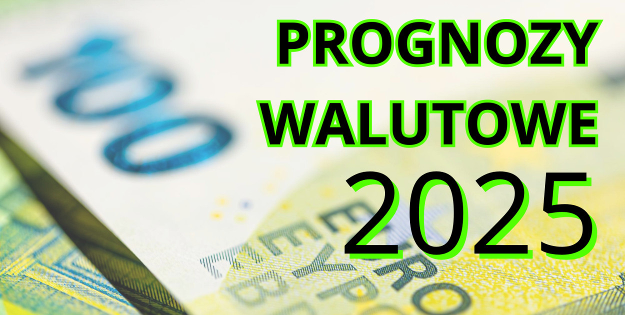 Waluty w 2025 roku - jakie są prognozy?