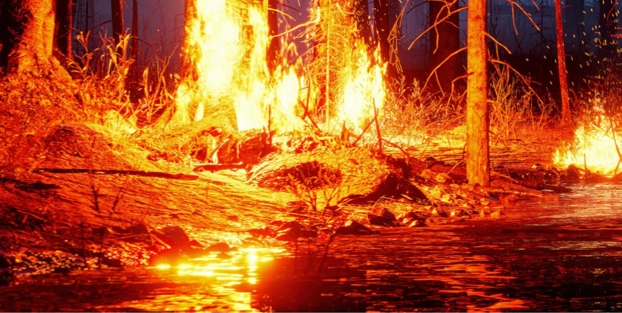 Potężny pożar lasu w powiecie mieleckim! Nawet 10 hektarów