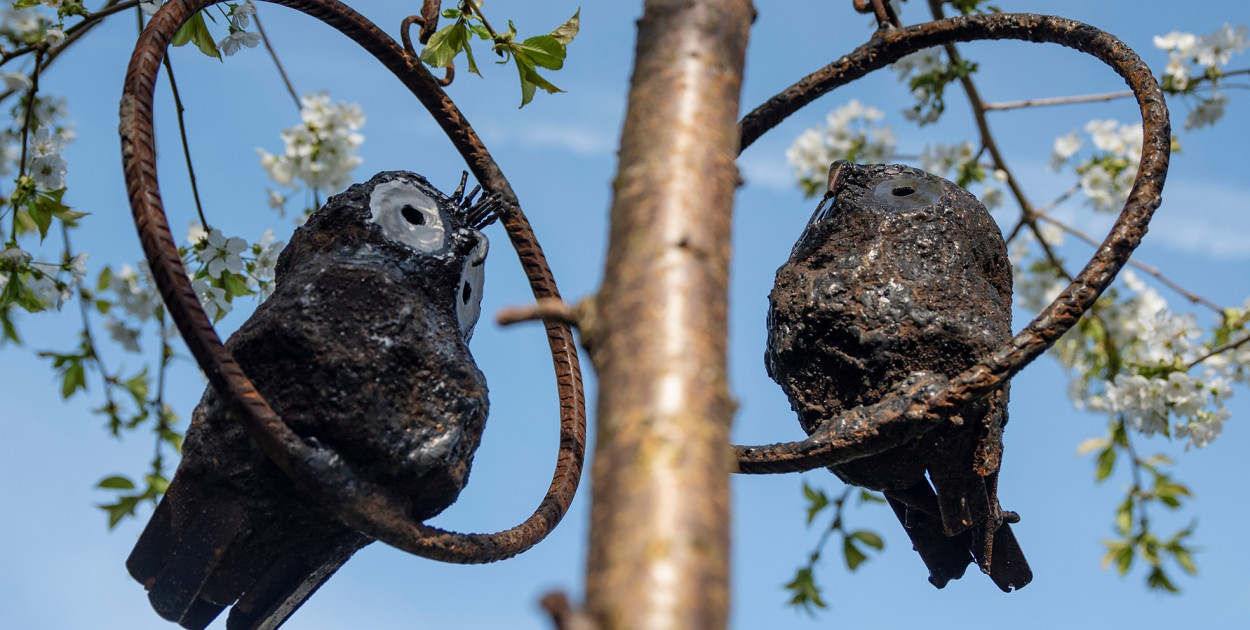 Fot. Mariola Wawrzusiak scuplture