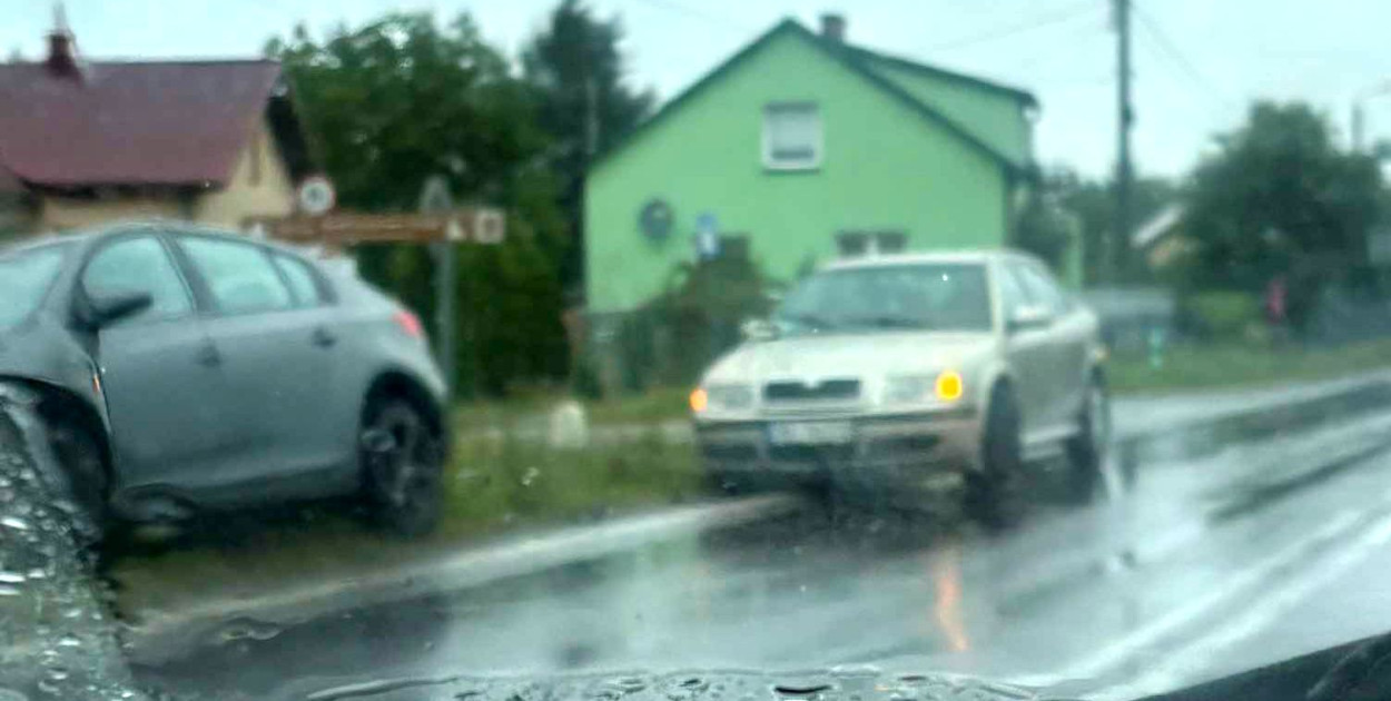 Zdjęcie dzięki uprzejmości grupy Uwaga Policja Mielec (Okolice) działającej na Facebooku.
