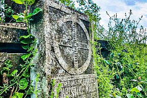 Cmentarz Ewangelicki w Goleszowie-11221
