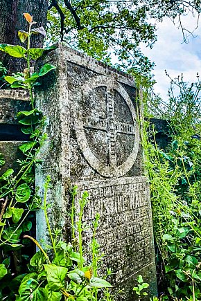 Cmentarz Ewangelicki w Goleszowie-11221