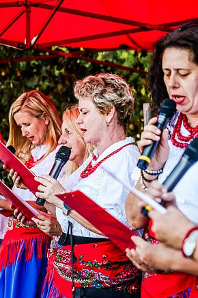 Dożynki sołeckie w Brniu Osuchowskim-13174