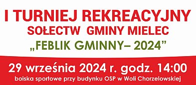 Turniej Rekreacyjny Sołectw Gminy Mielec-2870