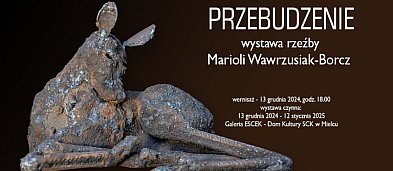 Wernisaż Marioli Wawrzusiak-Borcz „Przebudzenie”-3070