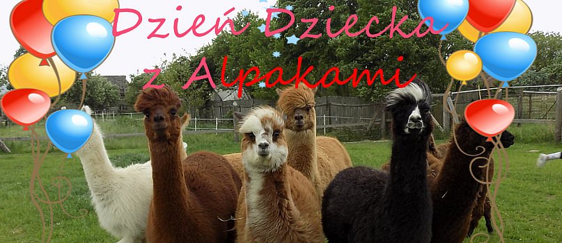 Dzień Dziecka z alpakami w Woli Baranowskiej-3508
