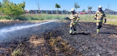 Pożar traw blisko zabudowań w Mielcu-85103