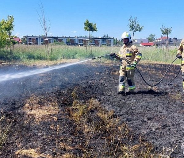 Pożar traw blisko zabudowań w Mielcu-85103