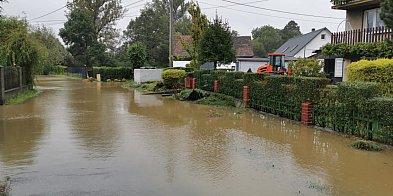 Pomoc dla Gminy Kłodzko od Gminy Mielec. Lista punktów-89040