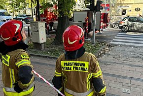 Blisko tragedii w centrum! Konar spadł na pieszego!-89096