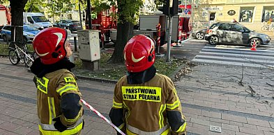 Blisko tragedii w centrum! Konar spadł na pieszego!-89096