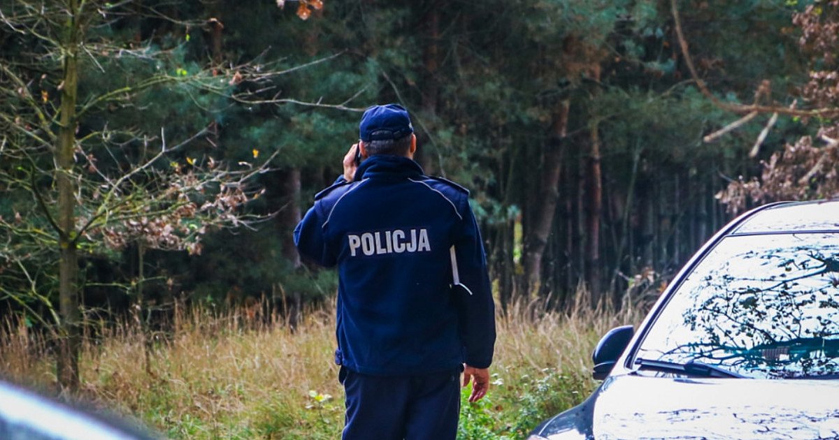 Poszukiwania rodziny zaginionej w lesie. Szczęśliwy finał - HEJ.MIELEC.PL