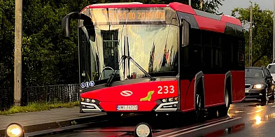 Bezpłatna komunikacja miejska w Mielcu już w 2025-91120