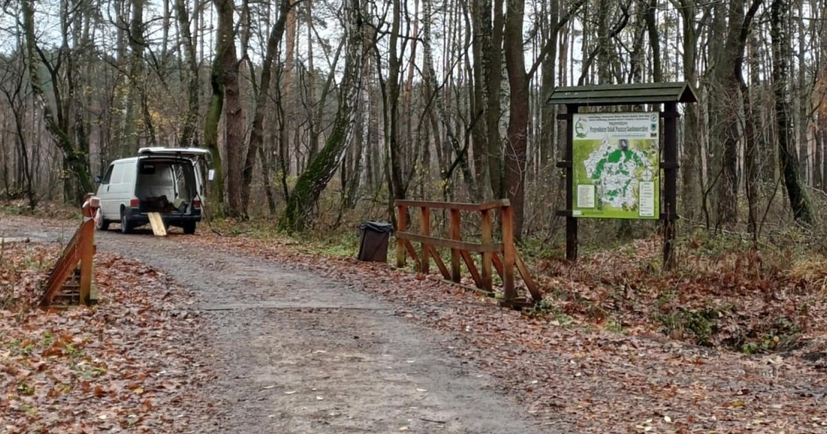 Awaryjna naprawa mostu na leśnej trasie - HEJ.MIELEC.PL