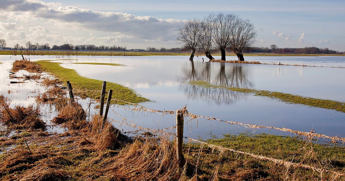 Powstanie wielki polder zalewowy? Gmina protestuje - HEJ.MIELEC.PL