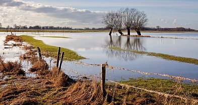 Powstanie wielki polder zalewowy? Gmina protestuje-91952