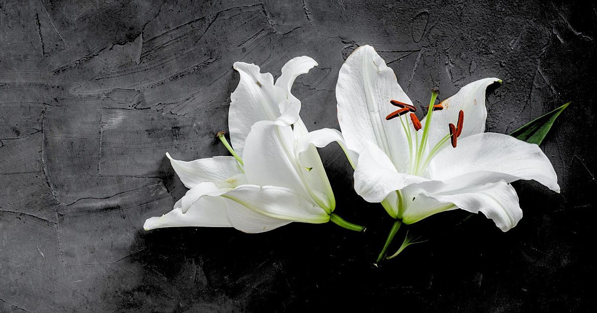 Kondolencje dla Krystyny Skowrońskiej od Marszałka Województwa