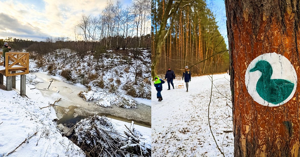 Ścieżka Cyraneczka jeszcze w budowie, a już przyciąga spacerowiczów [FOTO] - HEJ.MIELEC.PL