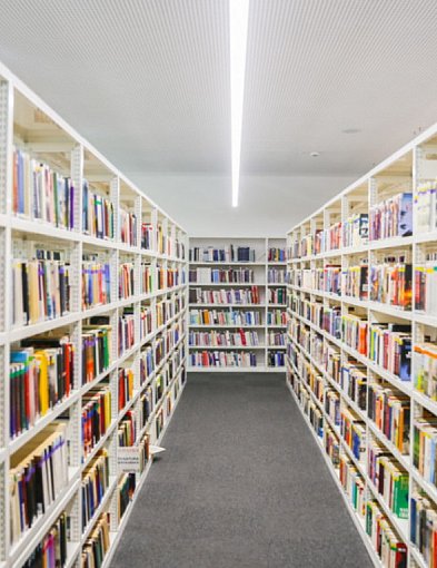 Czy mielczanie czytają? Biblioteka podsumowała 2024 rok-92999