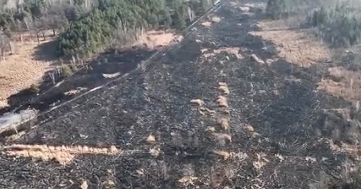 To wideo pokazuje skalę zniszczeń po pożarze - HEJ.MIELEC.PL